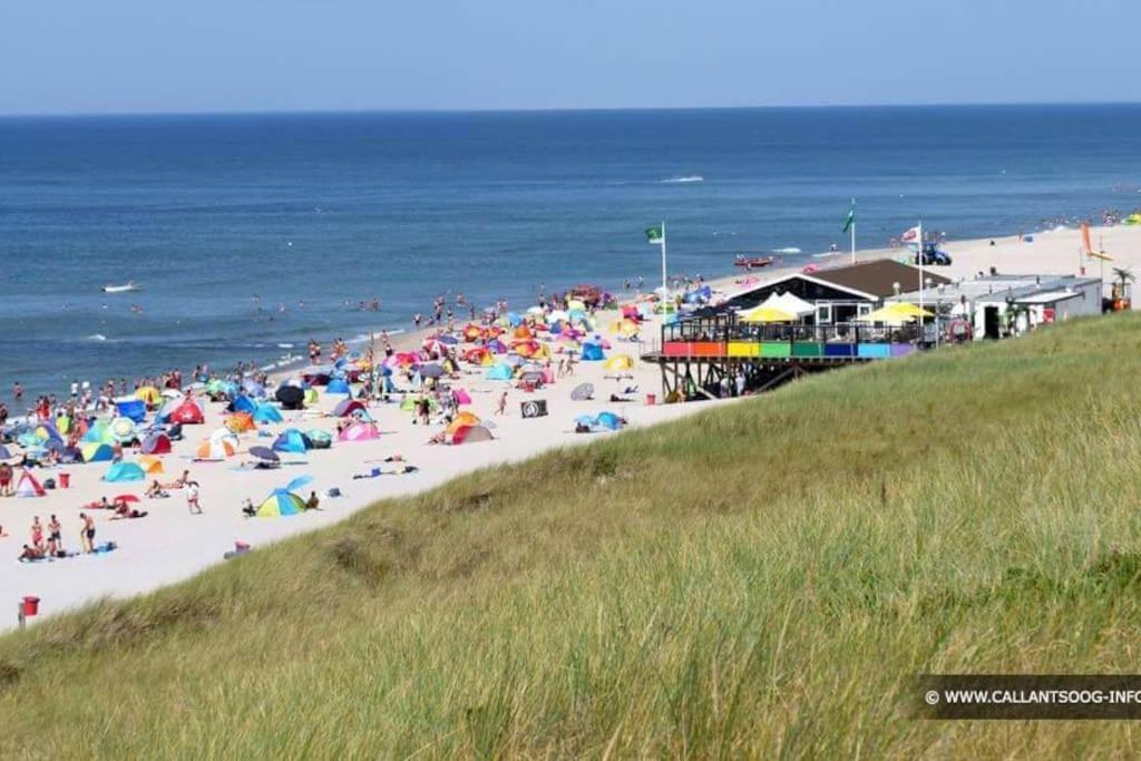 Chalet + Tiny House Nabij Strand Petten Kültér fotó